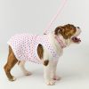 Hearts Dog Pajamas
