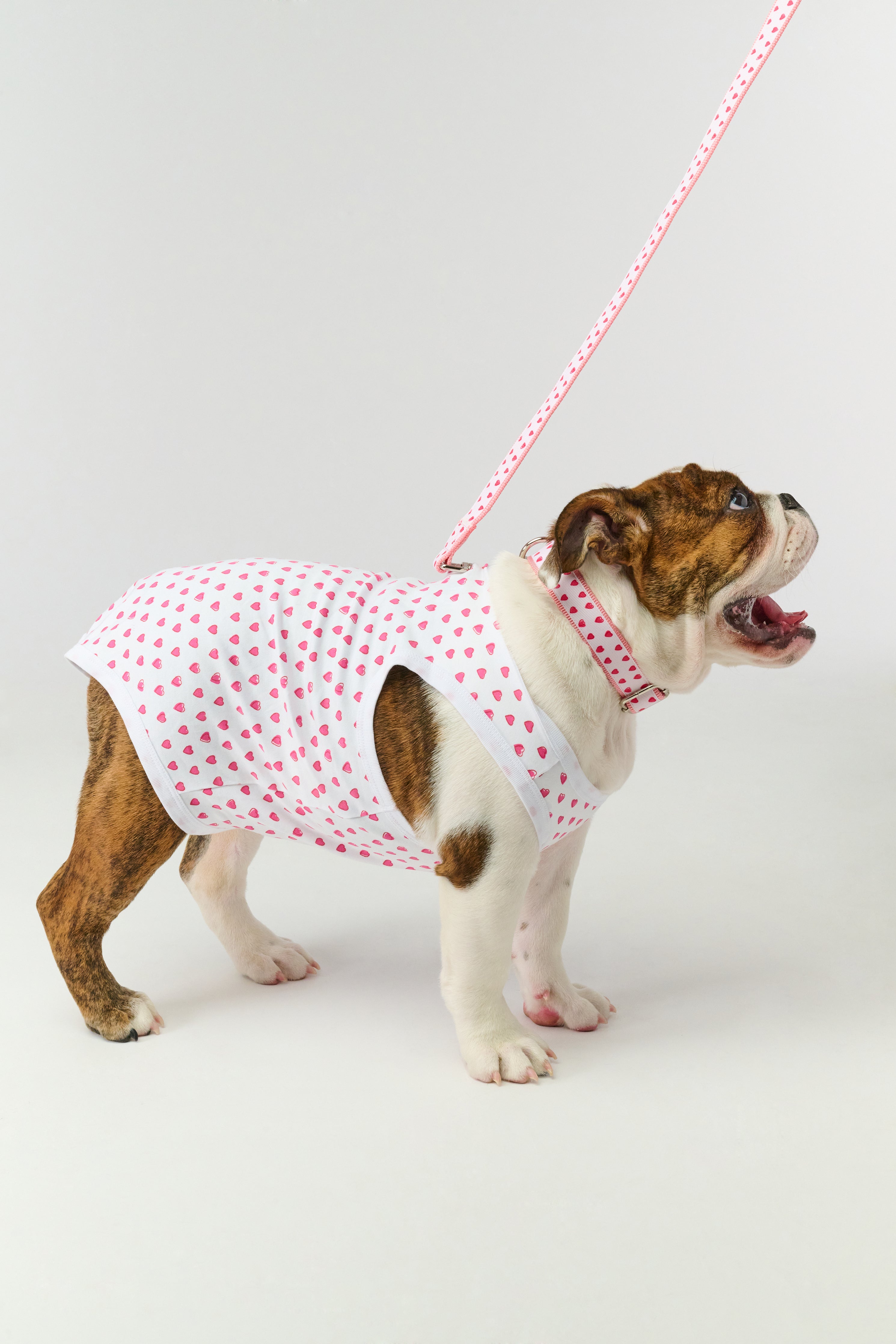 Hearts Dog Pajamas