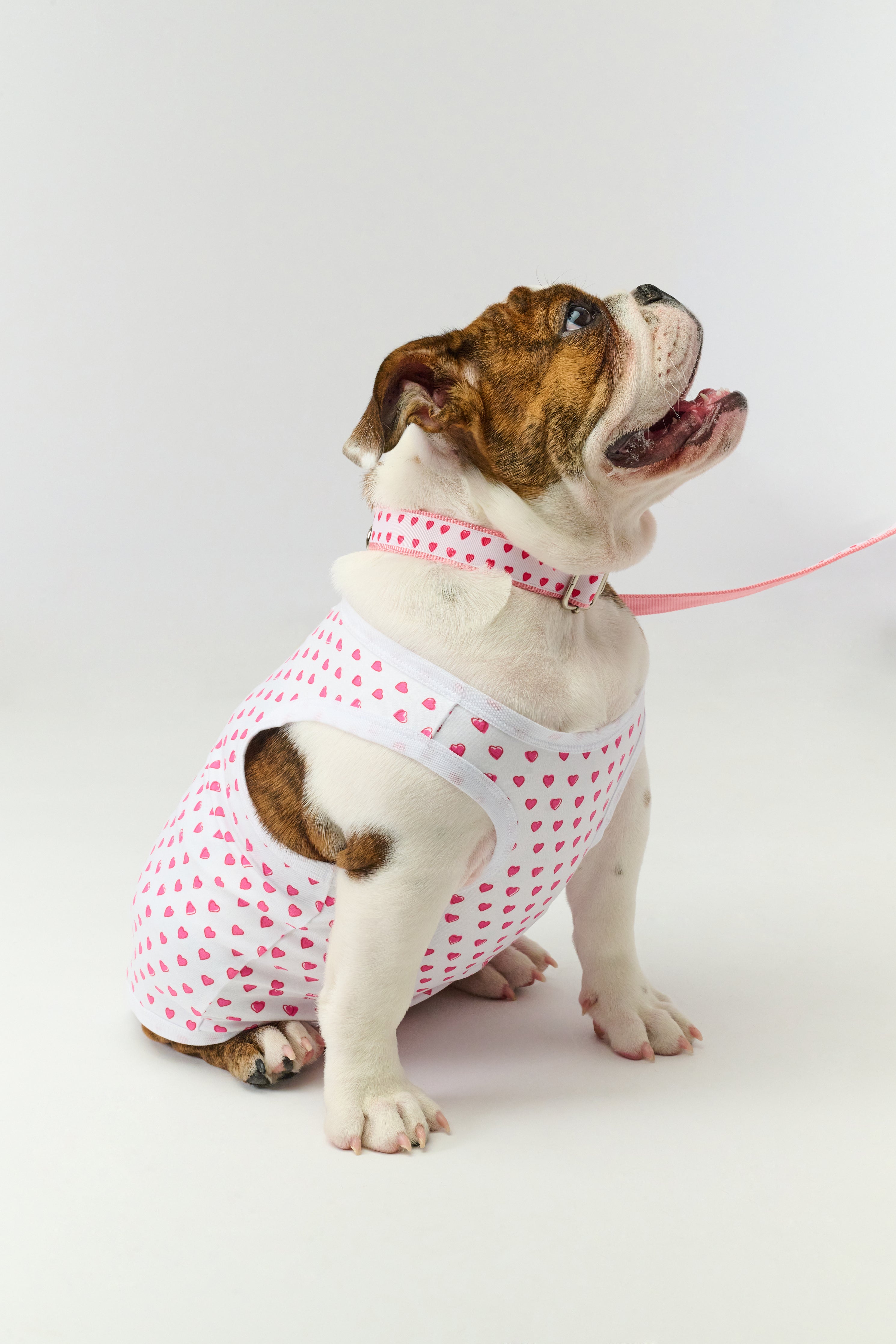 Hearts Dog Pajamas