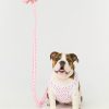 Hearts Dog Leash
