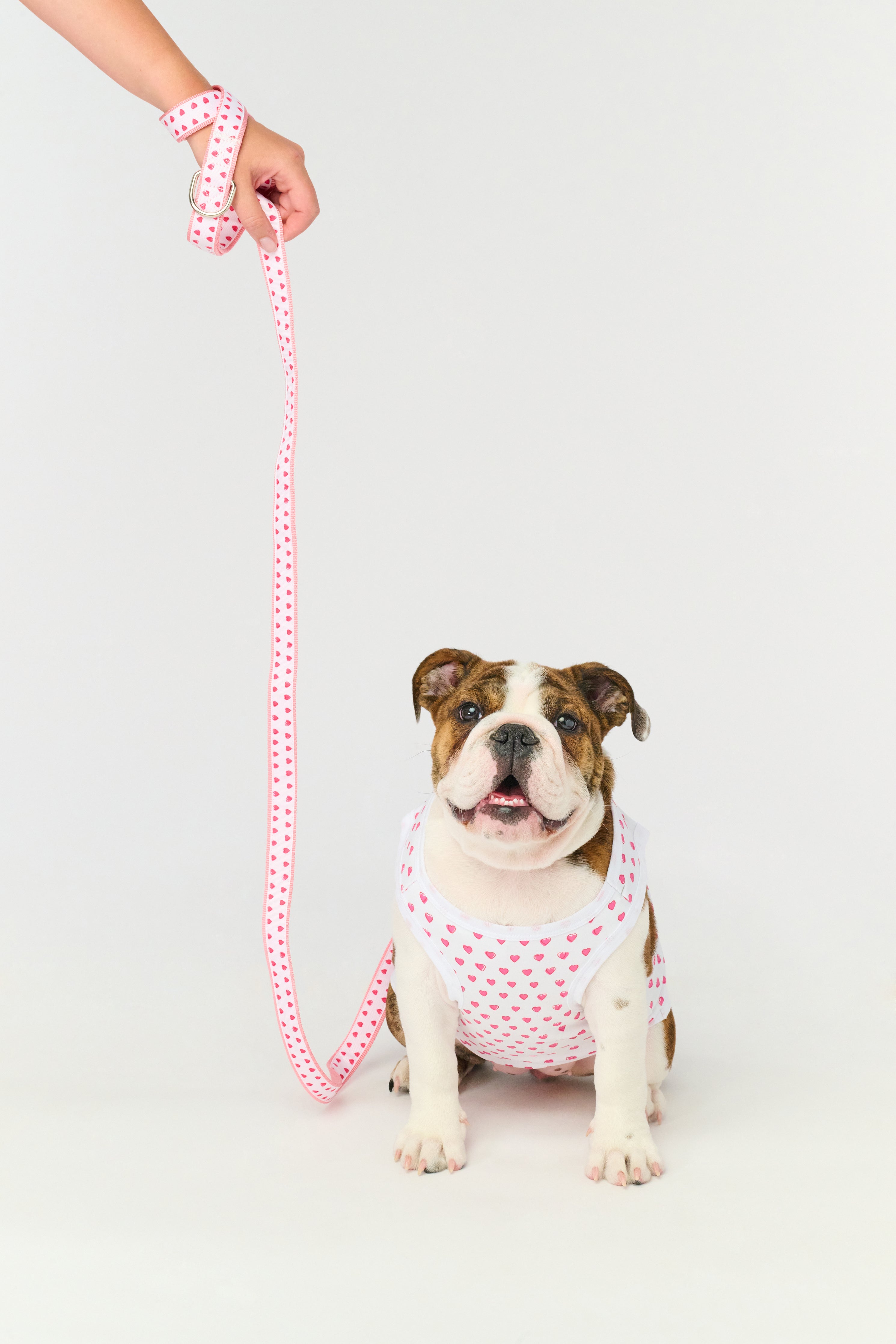 Hearts Dog Pajamas