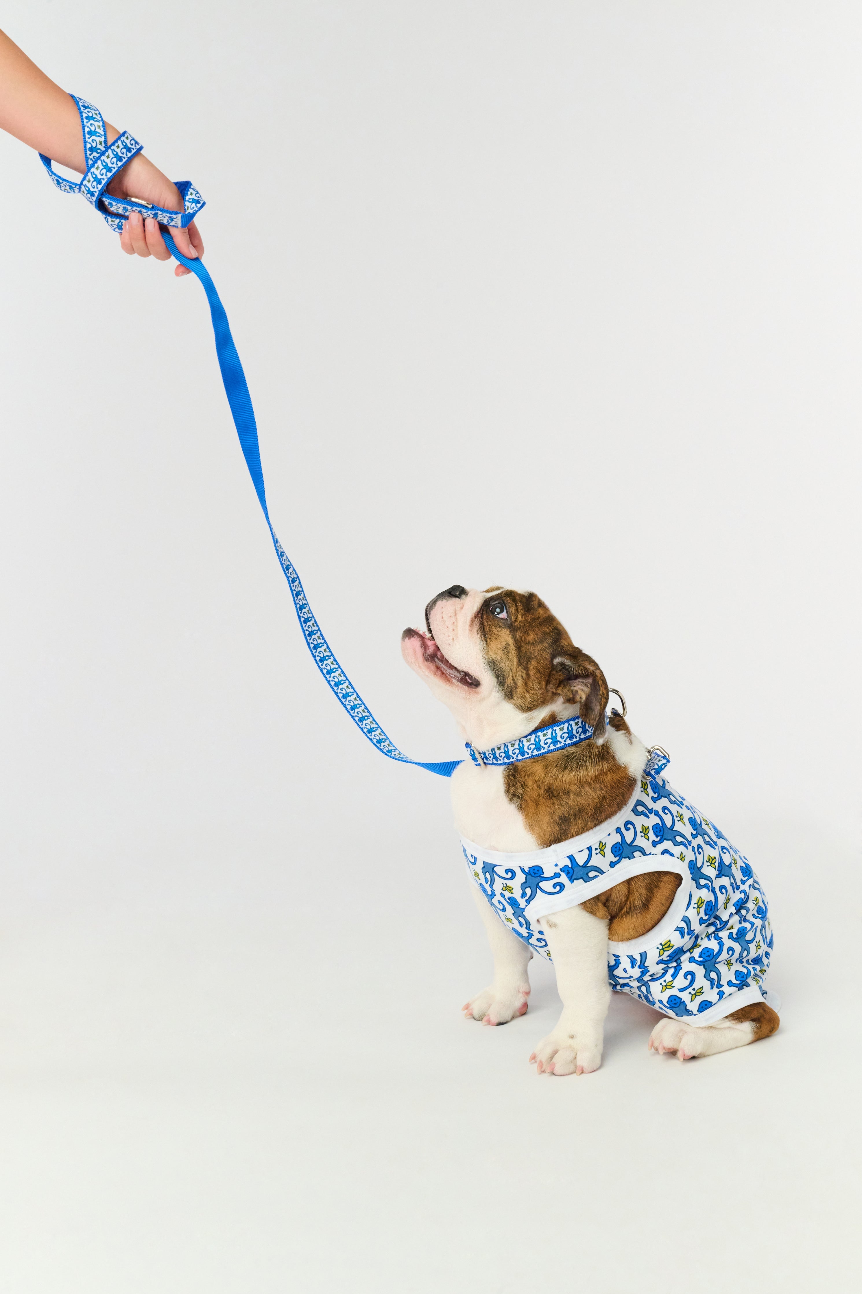 Monkey Dog Pajamas