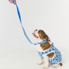 Monkey Dog Leash
