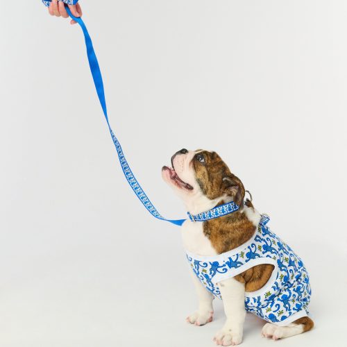 Monkey Dog Leash