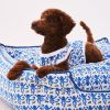 Monkey Dog Pajamas