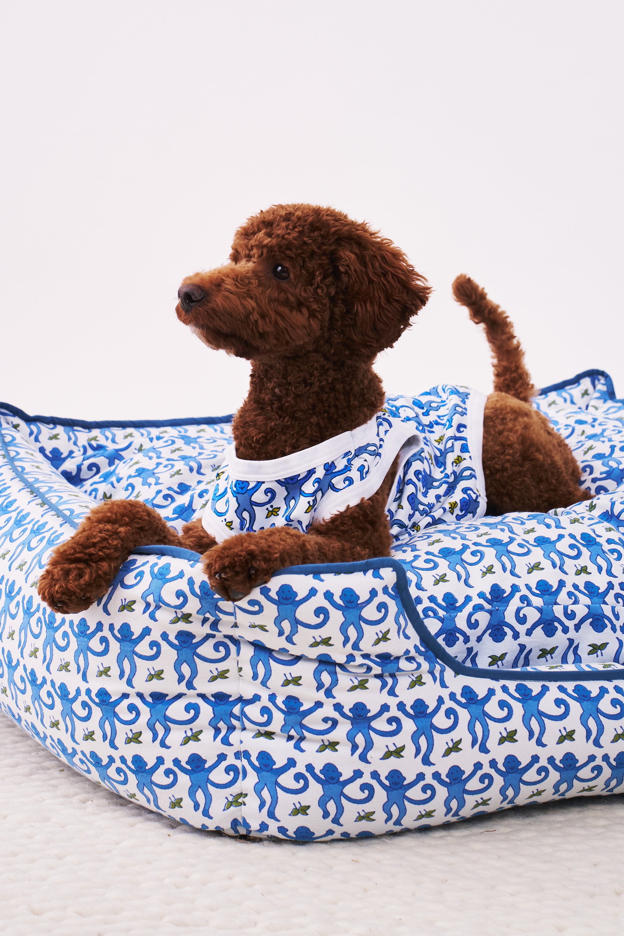 Monkey Dog Pajamas