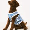 Monkey Dog Pajamas