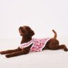 Monkey Dog Pajamas