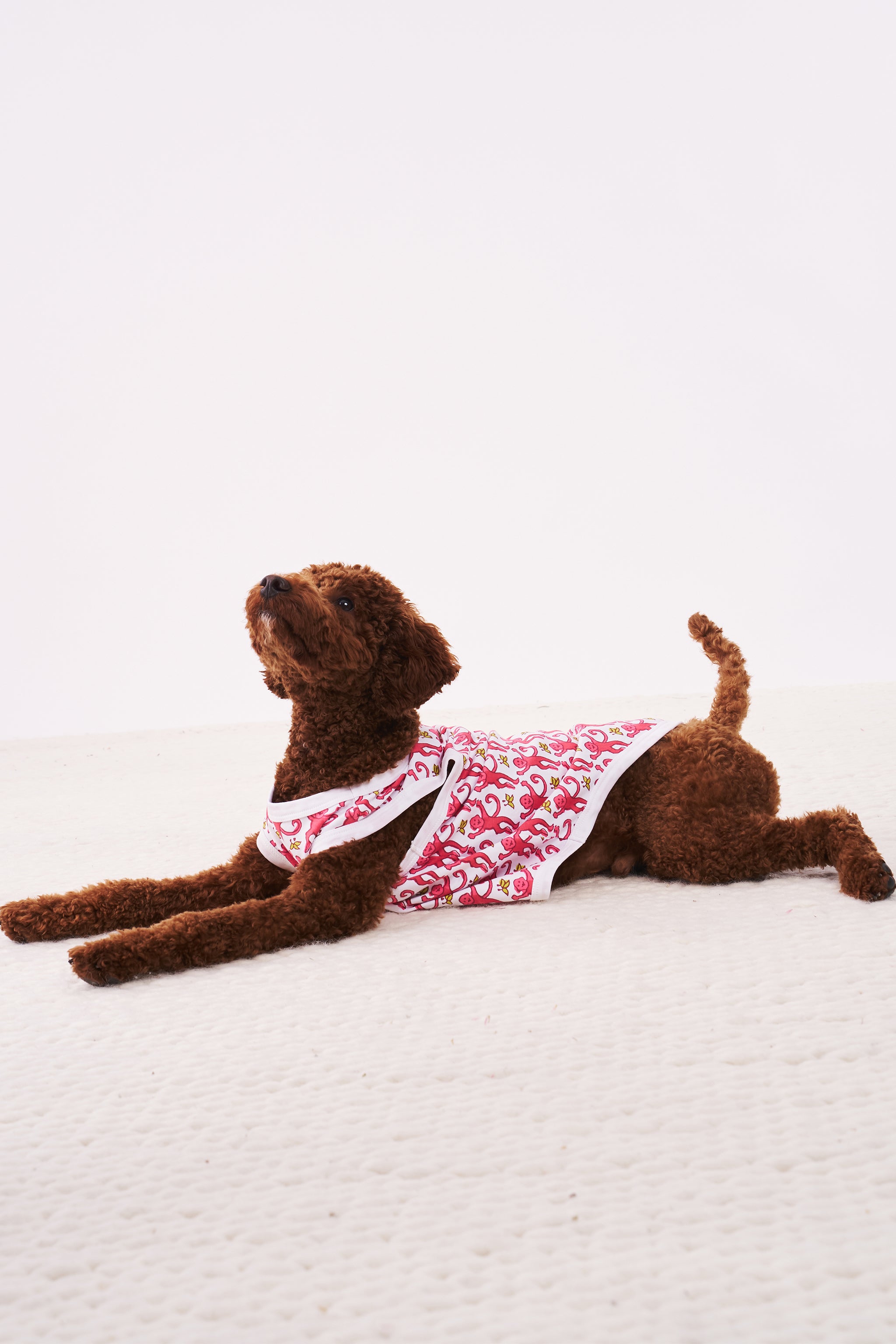 Monkey Dog Pajamas