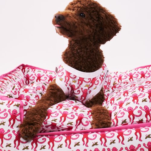 Monkey Dog Pajamas