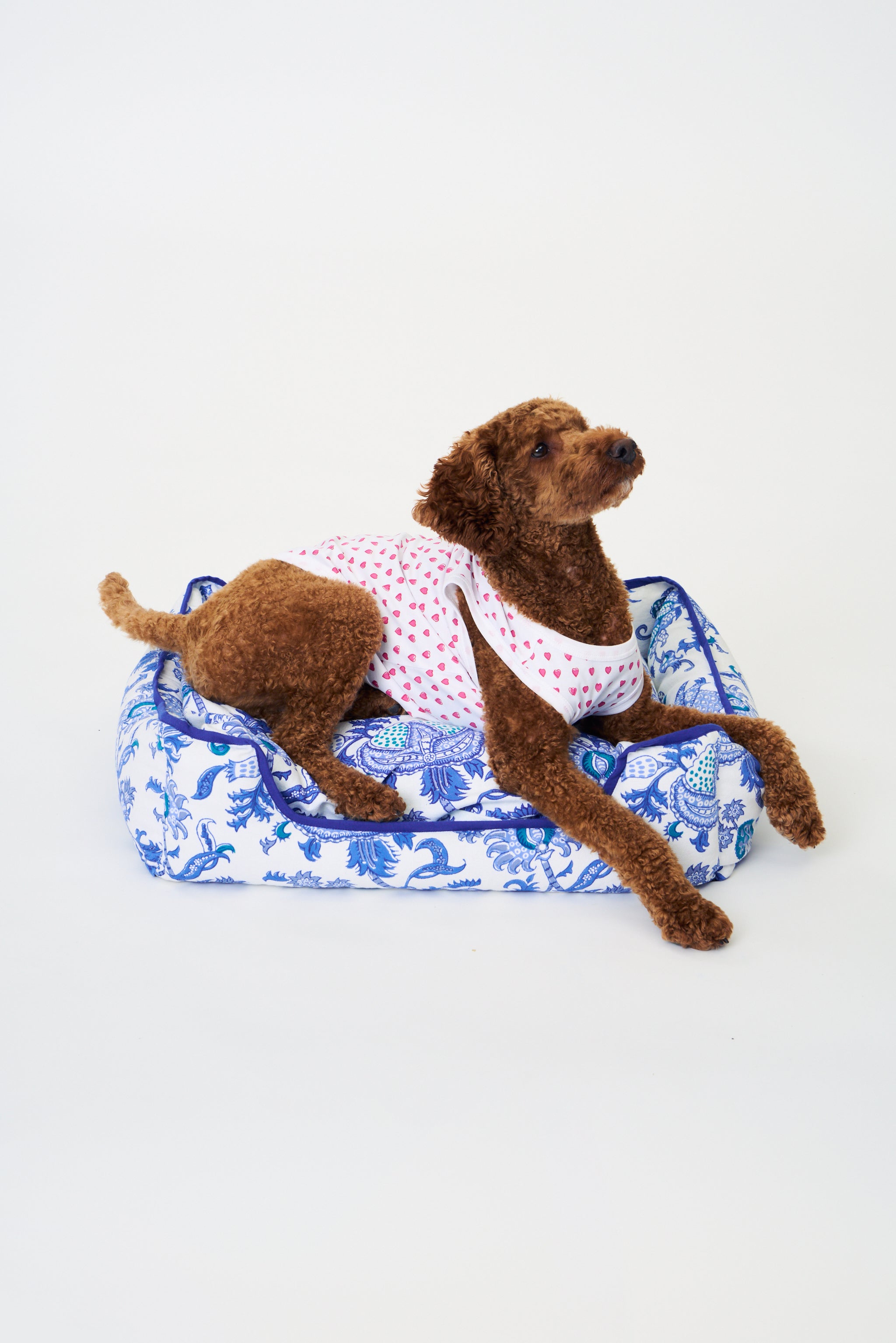 Hearts Dog Pajamas