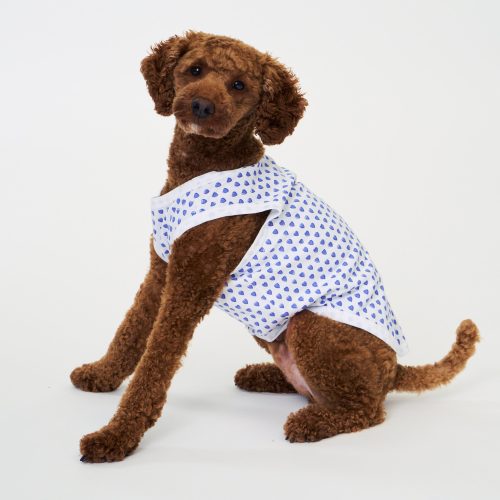 Hearts Dog Pajamas