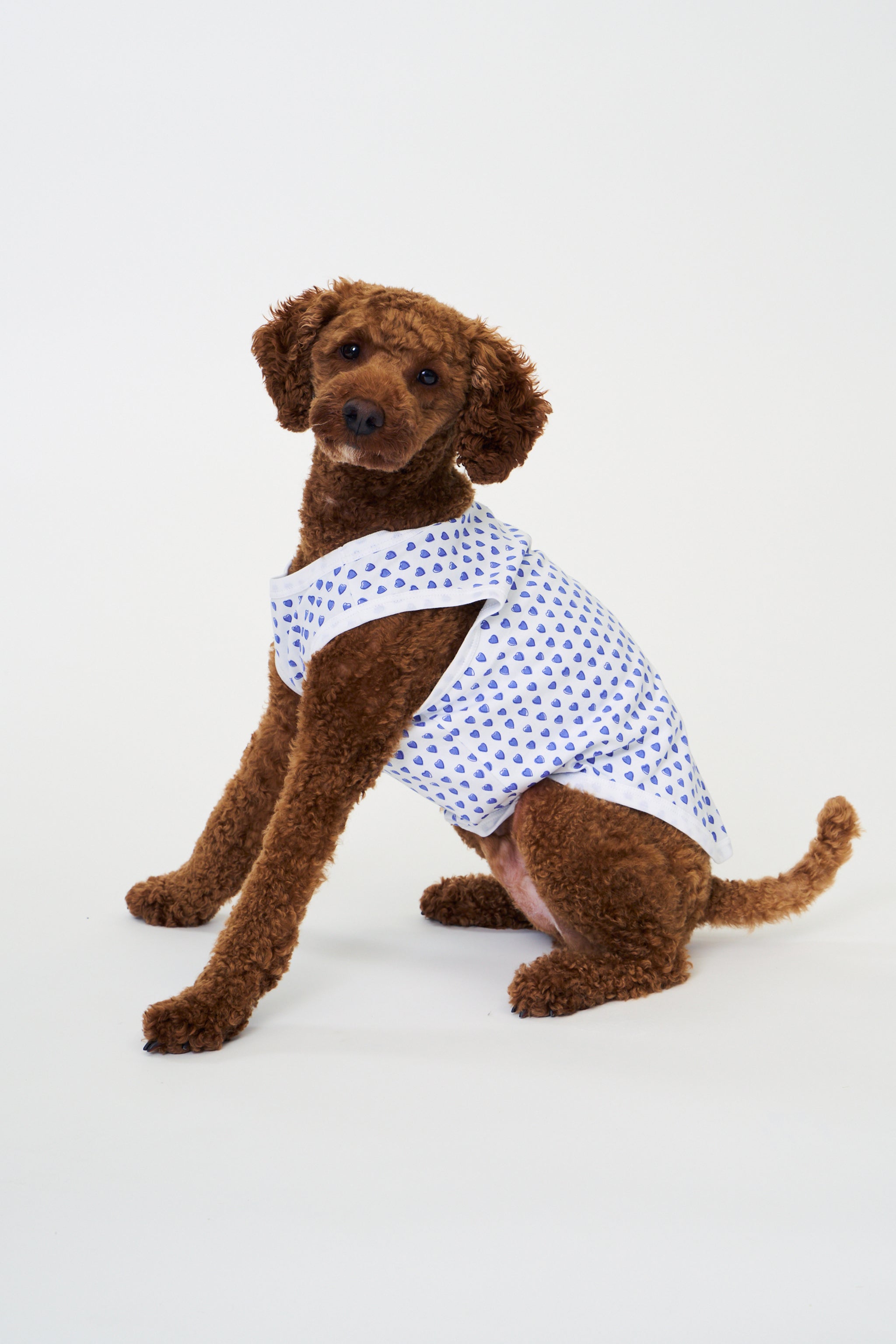 Hearts Dog Pajamas