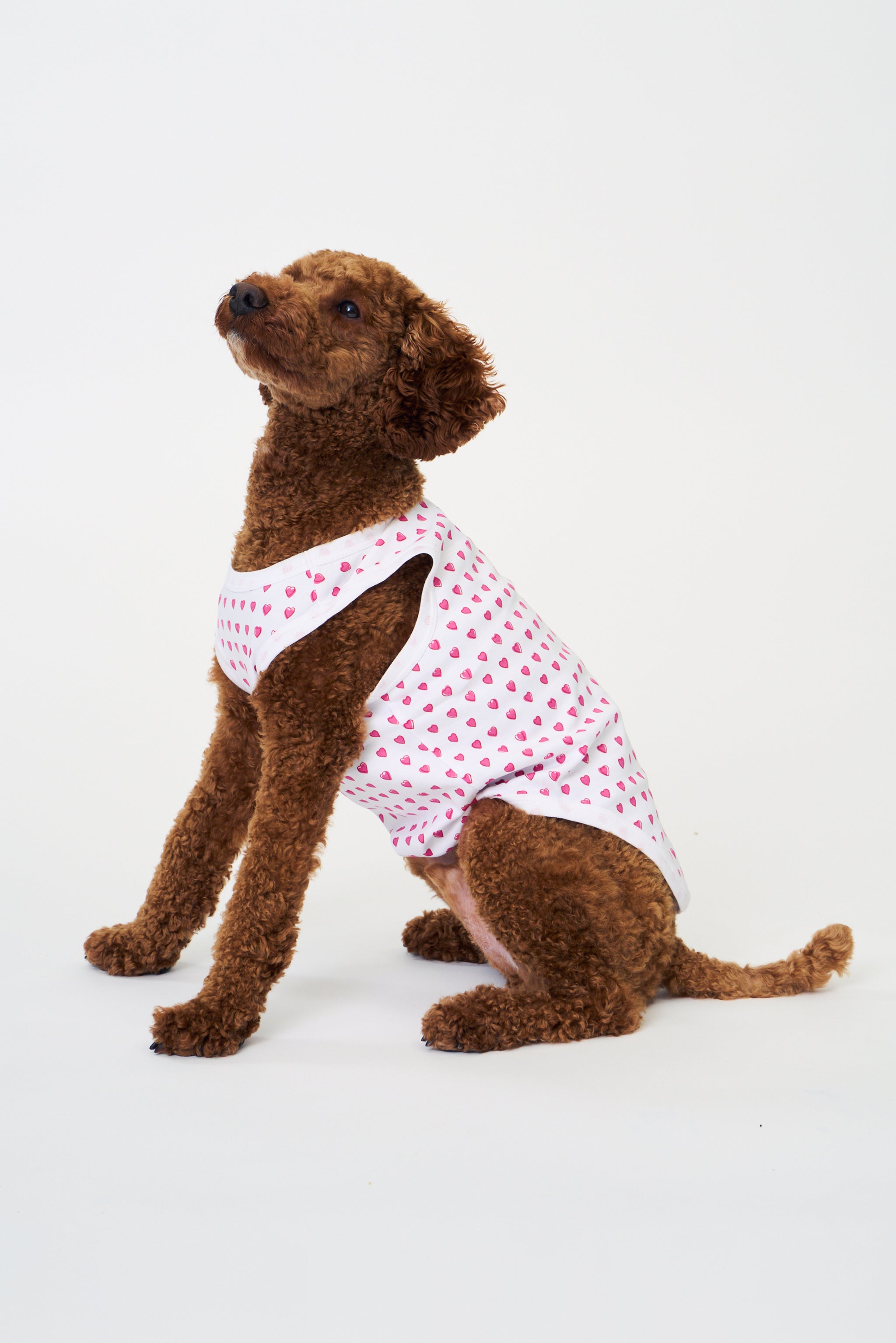 Hearts Dog Pajamas