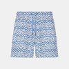 Mens Fish Stripe Swim Trunks