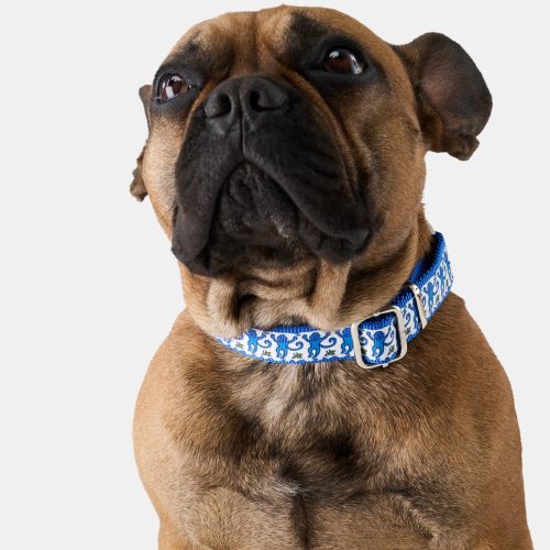 Monkey Dog Collar