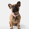 Hearts Dog Collar