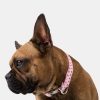 Hearts Dog Collar