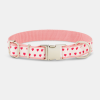 Hearts Dog Collar