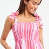 Painted Stripe Delvine Dress